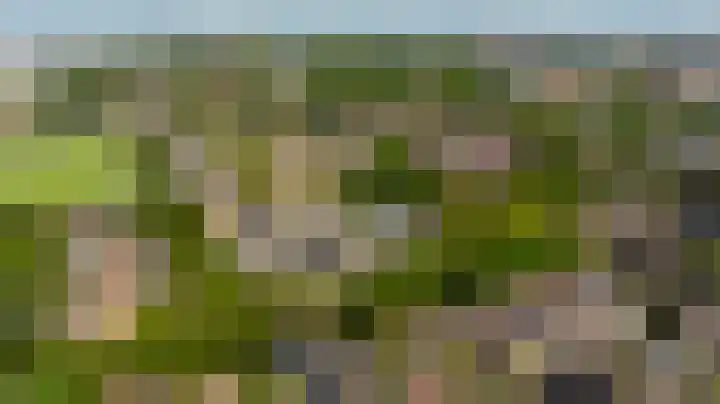 Boog 4 Wateringen thumbnail 37