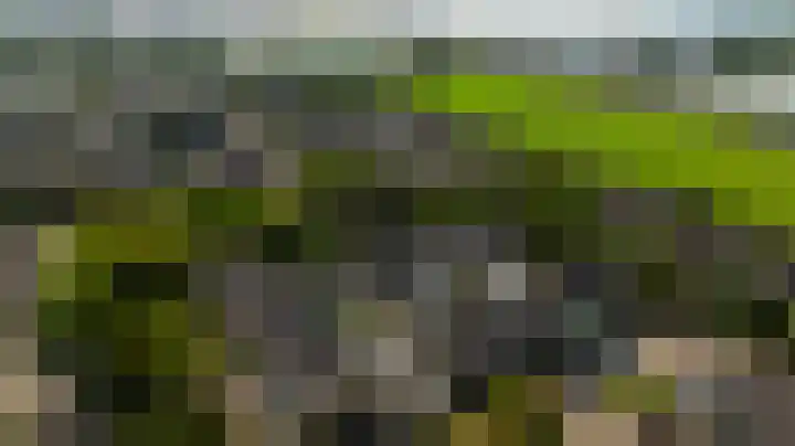 Boog 4 Wateringen thumbnail 38