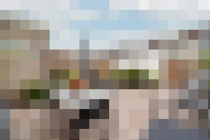 Boog 4 Wateringen thumbnail 4