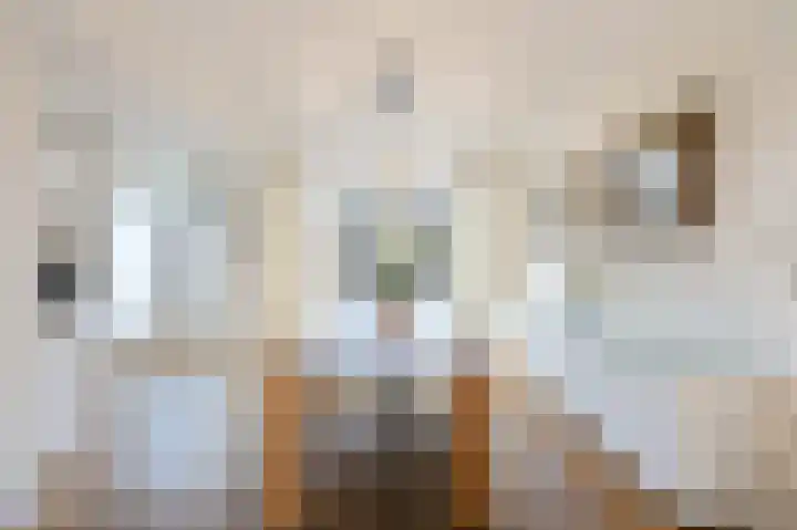 Boogaardlaan 12 Beverwijk thumbnail 14