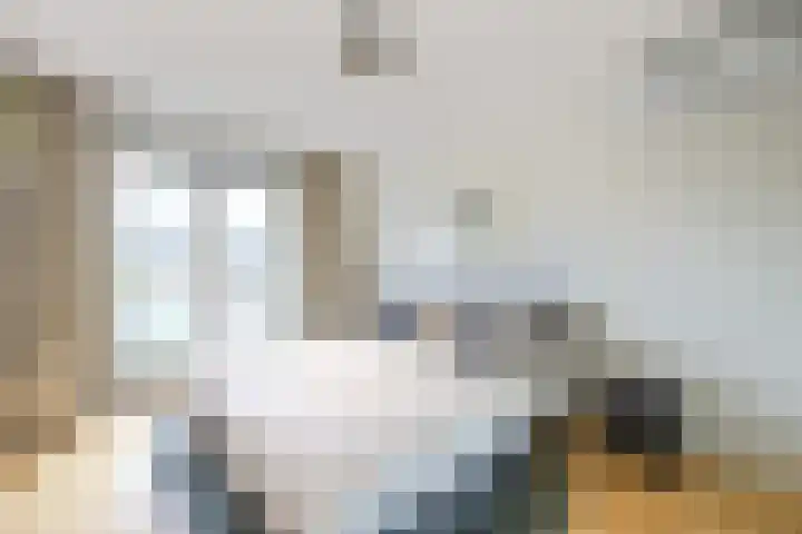Boogaardlaan 12 Beverwijk thumbnail 25
