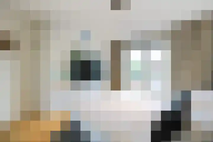 Boogaardlaan 12 Beverwijk thumbnail 26