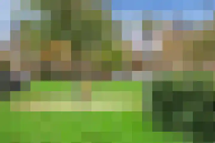 Boogaardlaan 12 Beverwijk thumbnail 47