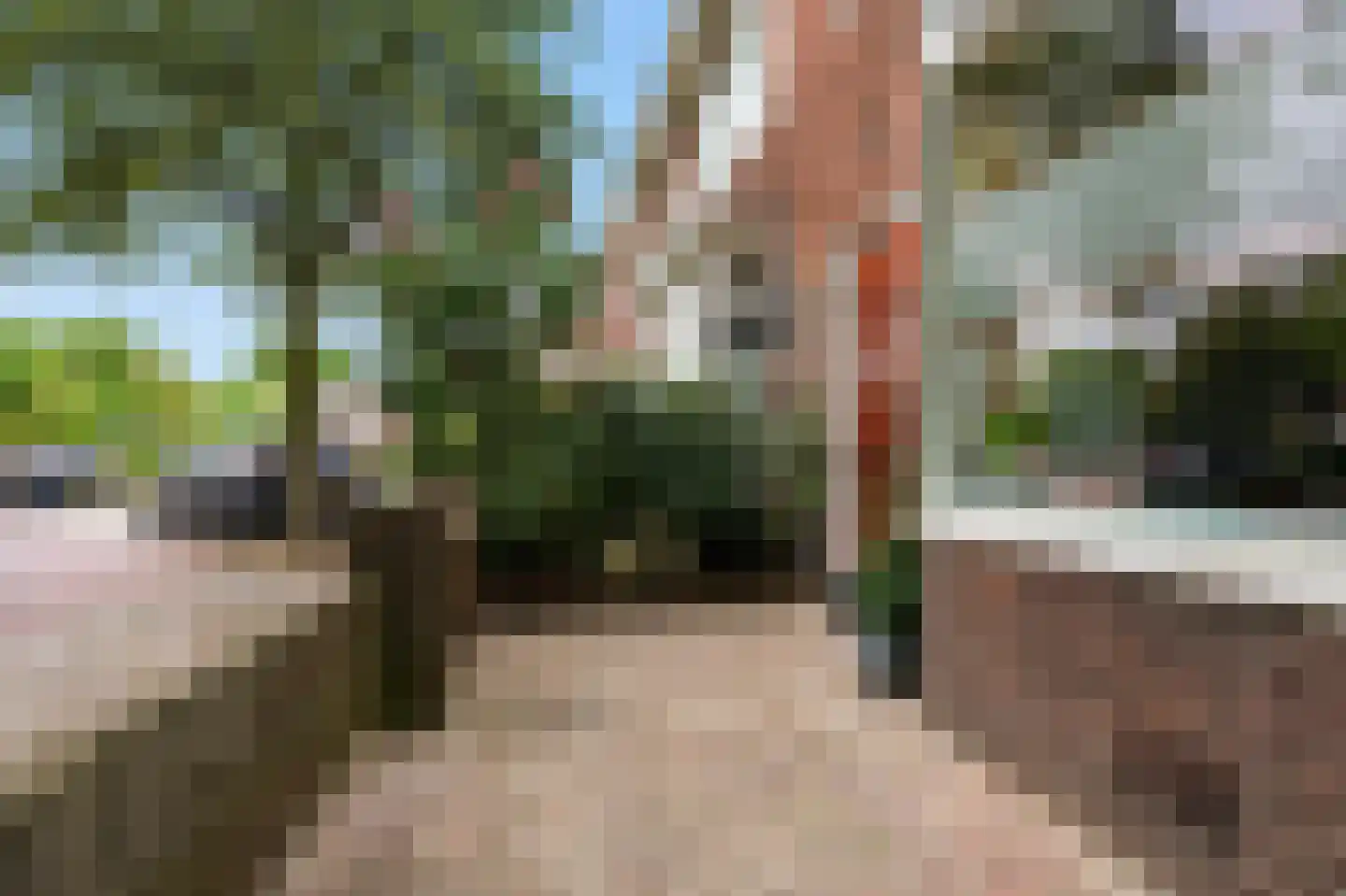 Boogaardlaan 24 Beverwijk thumbnail 46