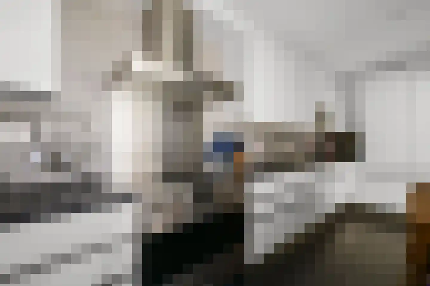 Boogaardlaan 9 Beverwijk thumbnail 17
