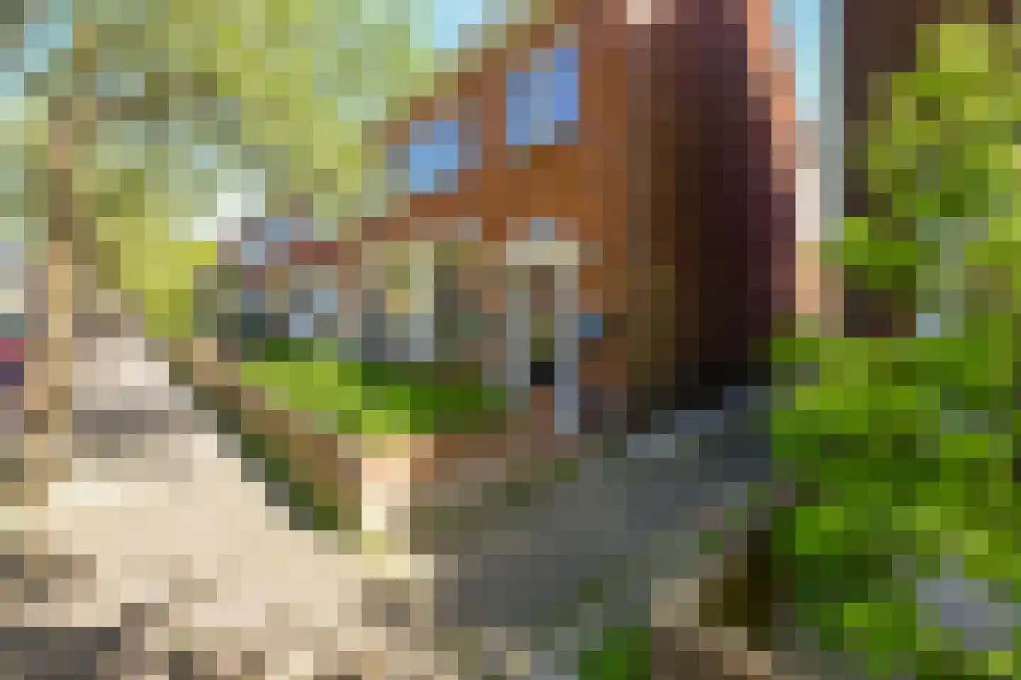 Boogaardlaan 9 Beverwijk thumbnail 52