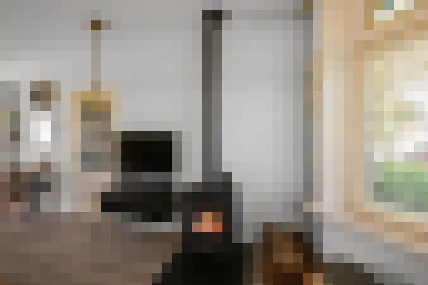 Boogaardlaan 9 Beverwijk thumbnail 7