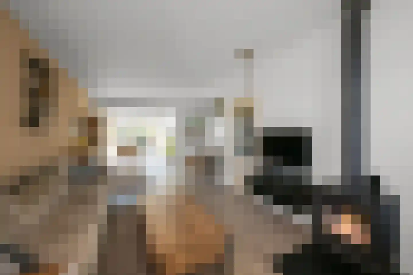 Boogaardlaan 9 Beverwijk thumbnail 8