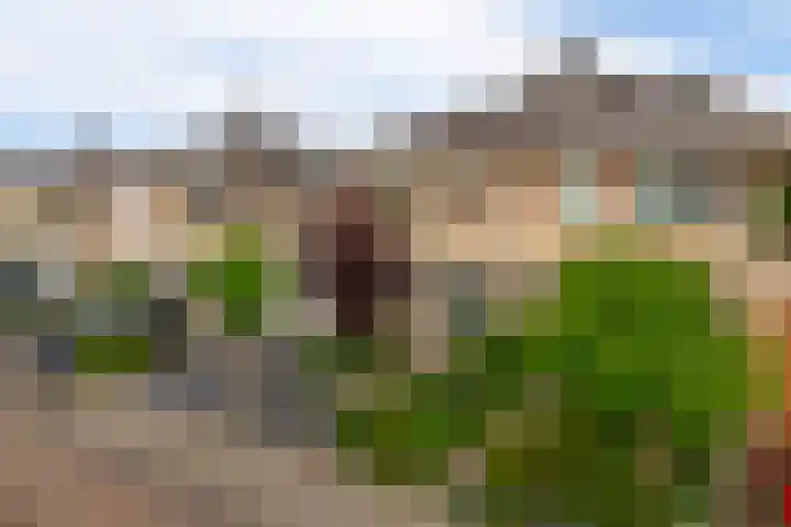 Boogaerdthof 12 in Krimpen aan de Lek