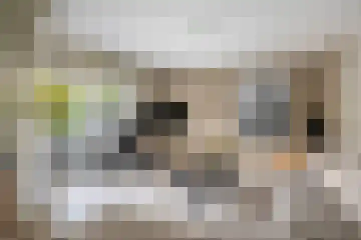 Boogaerdthof 12 Krimpen aan de Lek thumbnail 13