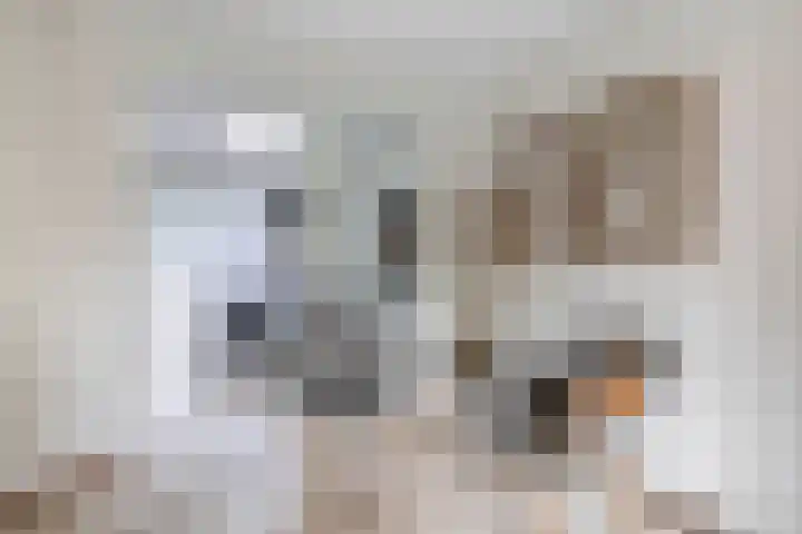 Boogaerdthof 12 Krimpen aan de Lek thumbnail 17