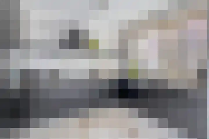Boogaerdthof 12 Krimpen aan de Lek thumbnail 19