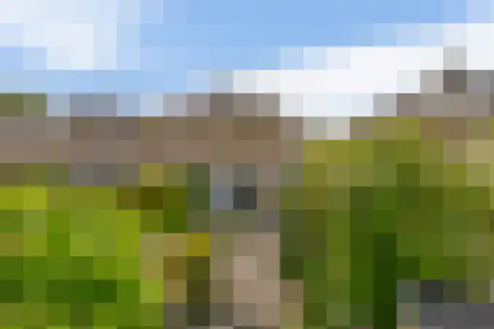 Boogaerdthof 12 Krimpen aan de Lek foto 2