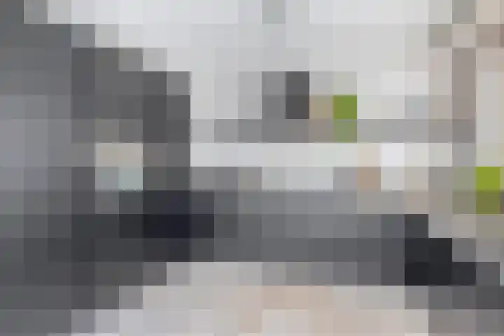 Boogaerdthof 12 Krimpen aan de Lek thumbnail 21