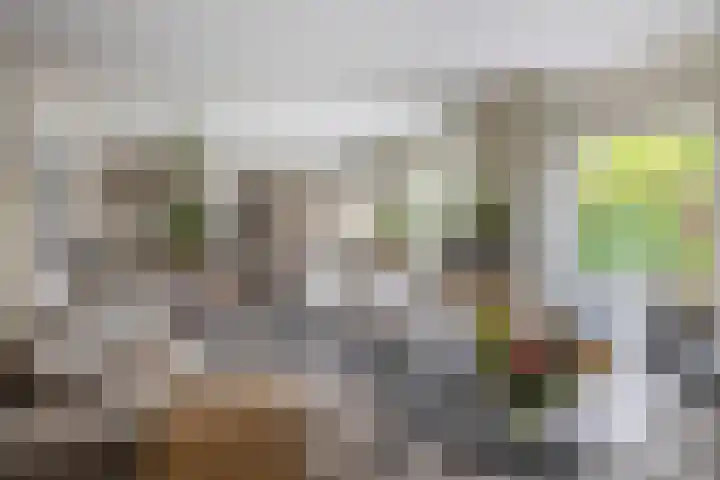 Boogaerdthof 12 Krimpen aan de Lek foto 3