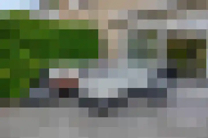 Boogaerdthof 12 Krimpen aan de Lek thumbnail 36