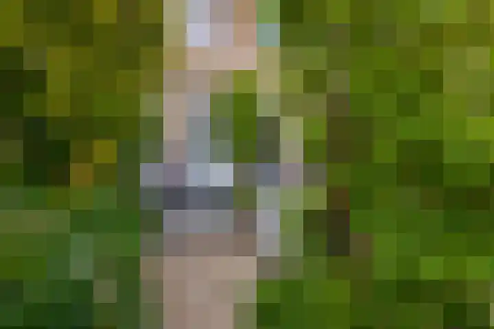 Boogaerdthof 12 Krimpen aan de Lek thumbnail 39