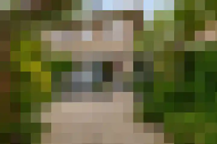Boogaerdthof 12 Krimpen aan de Lek thumbnail 40