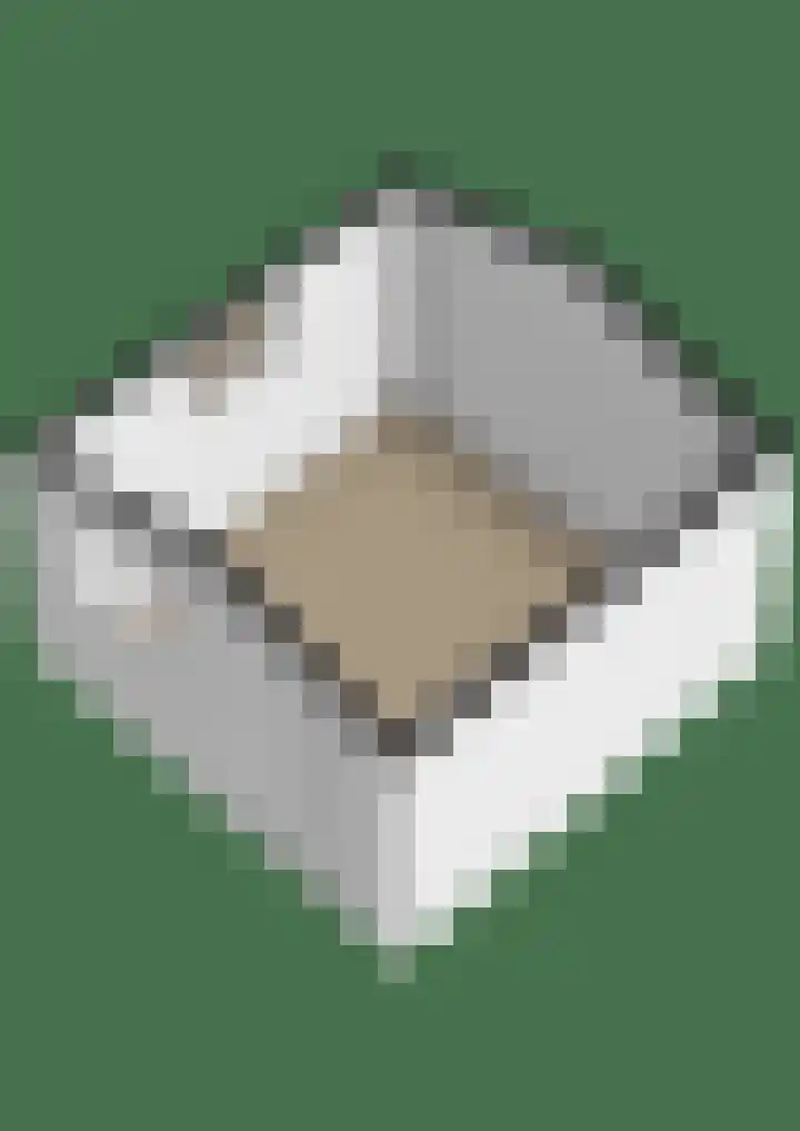 Boogaerdthof 12 Krimpen aan de Lek thumbnail 50
