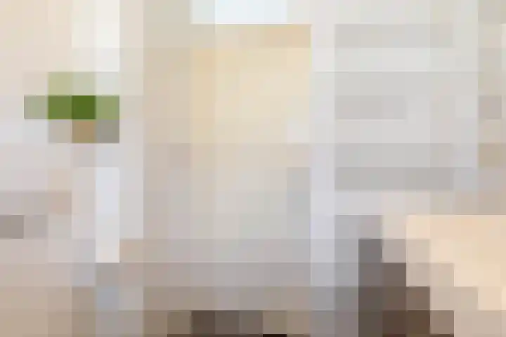 Boogaerdthof 14 Krimpen aan de Lek thumbnail 37