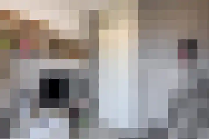 Boogaerdthof 14 Krimpen aan de Lek thumbnail 39