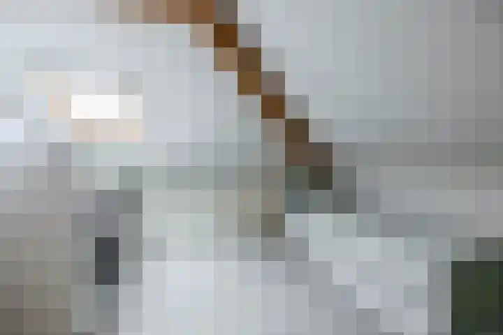 Boogaerdthof 14 Krimpen aan de Lek thumbnail 44