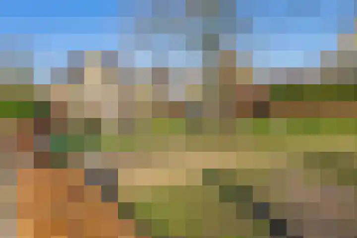 Boogaerdthof 14 Krimpen aan de Lek thumbnail 48