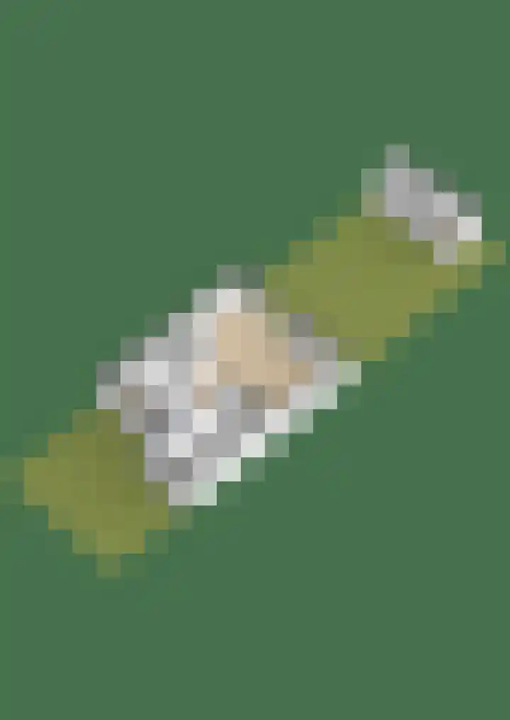 Boogaerdthof 14 Krimpen aan de Lek thumbnail 50