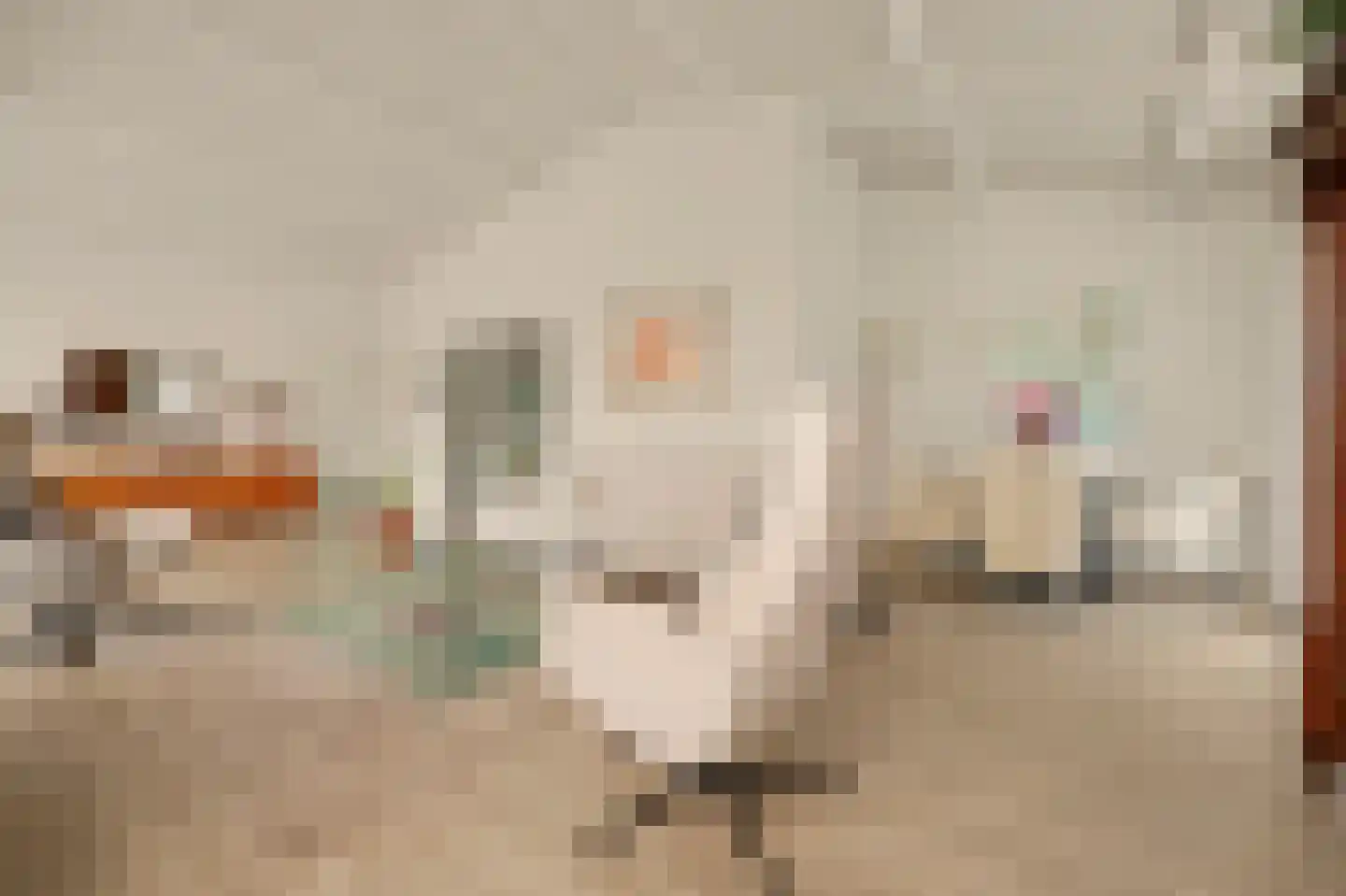 Boogerdlaan 10 Kortgene thumbnail 14