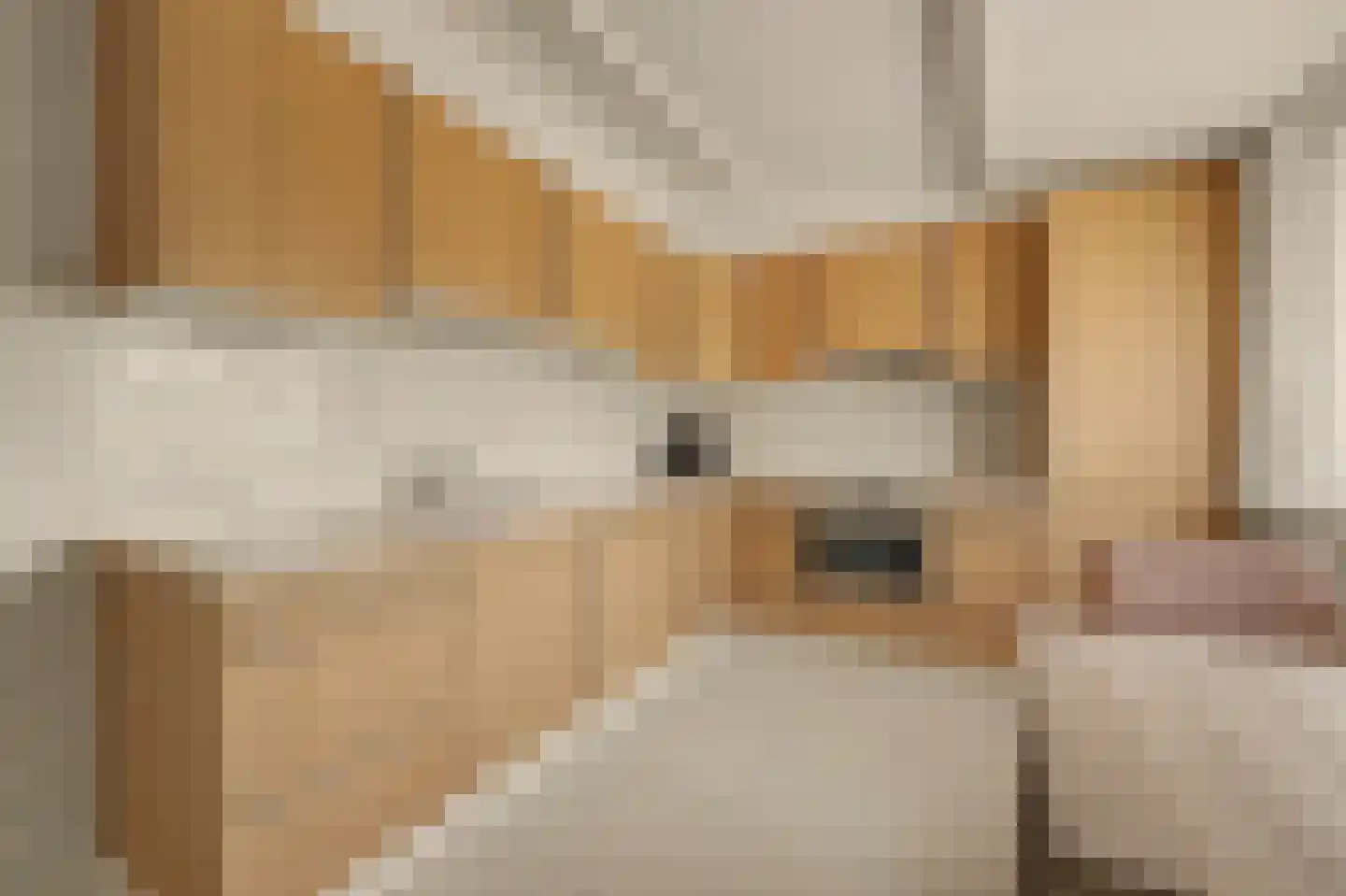 Boogerdlaan 10 Kortgene thumbnail 17