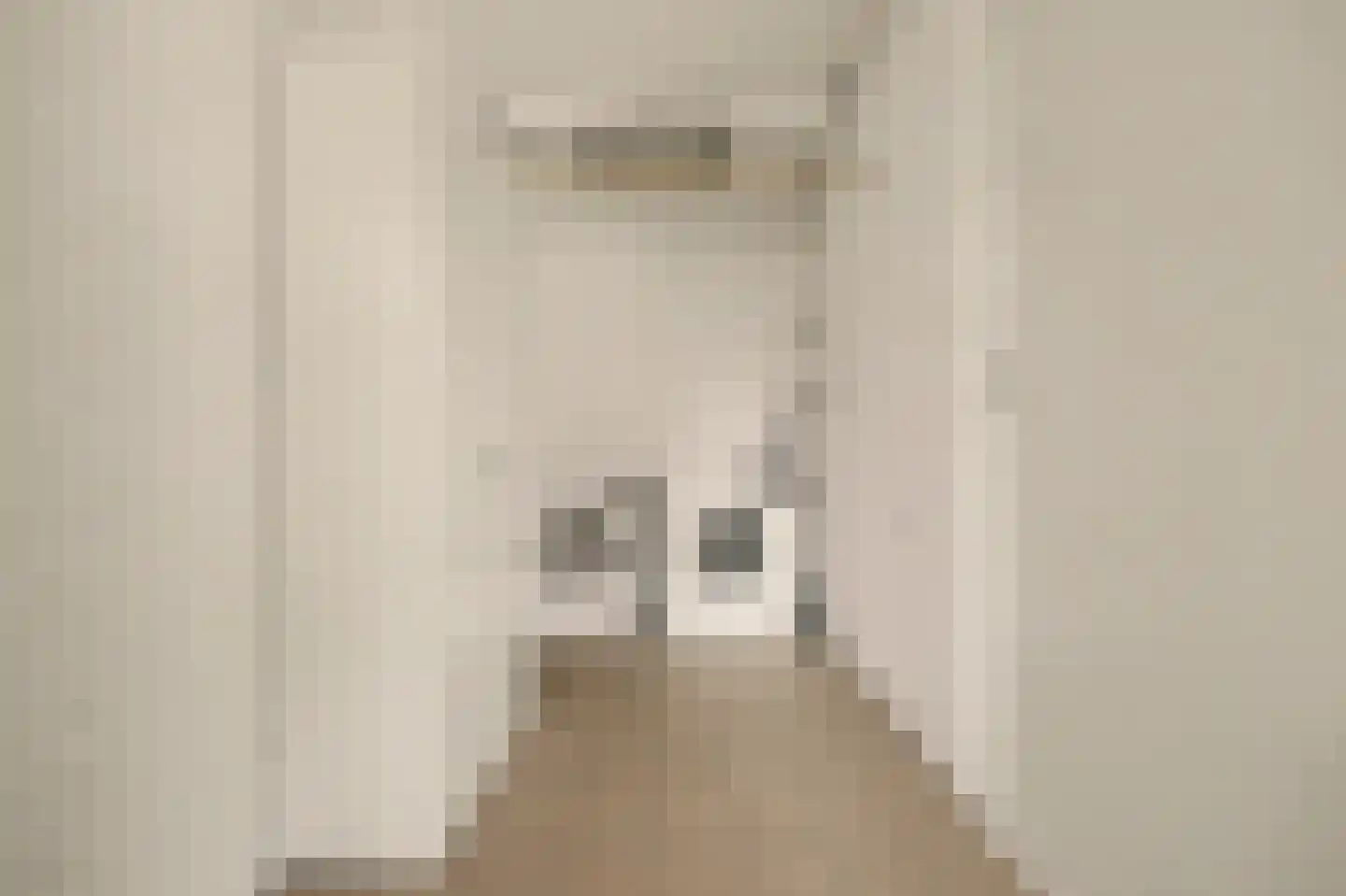 Boogerdlaan 10 Kortgene thumbnail 18