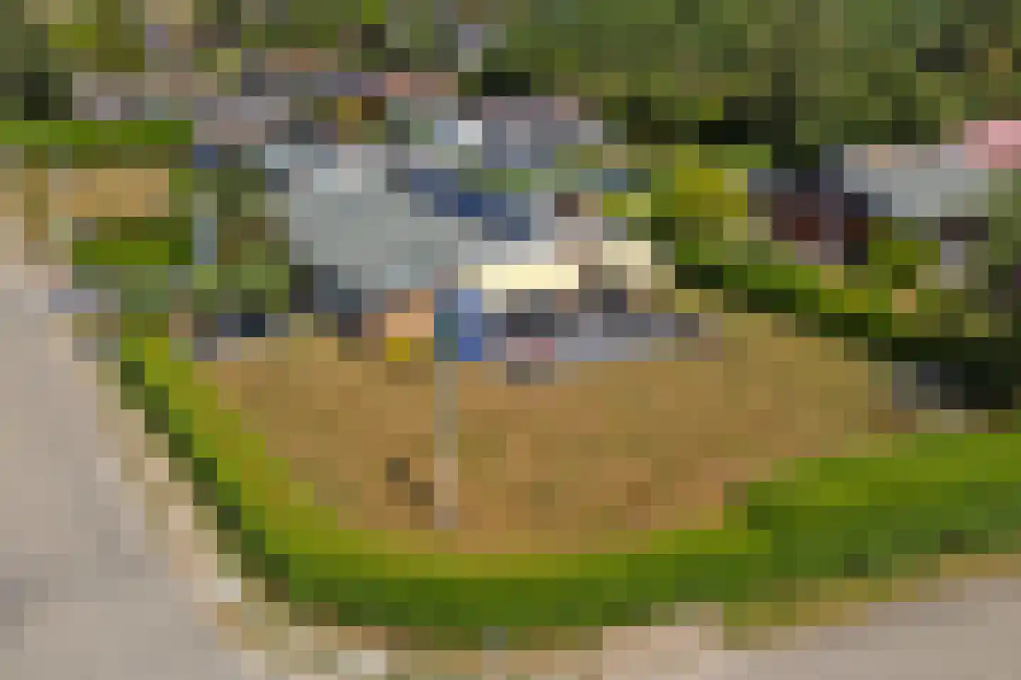 Boogerdlaan 10 Kortgene thumbnail 30