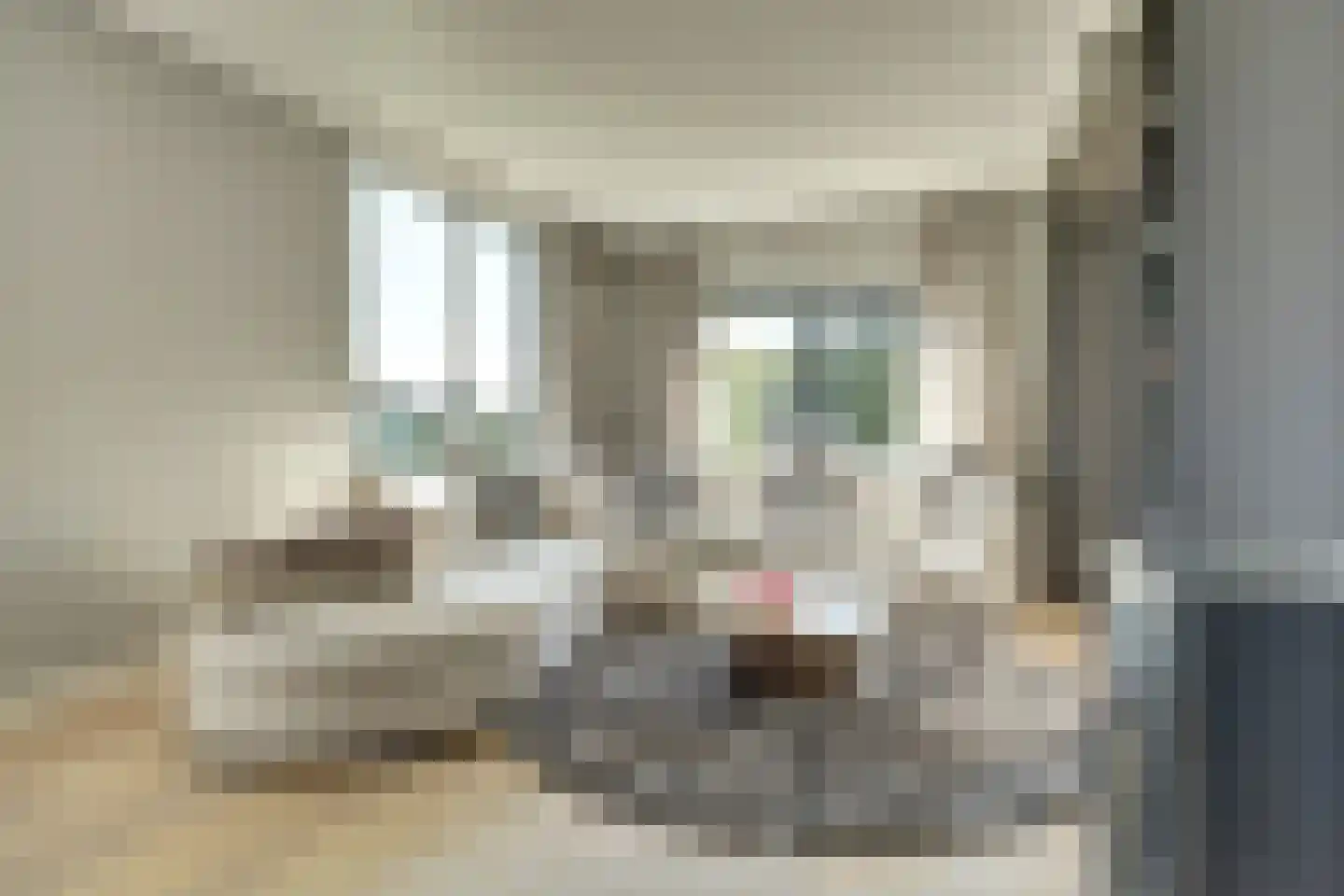 Boogerdlaan 13 Kortgene thumbnail 11