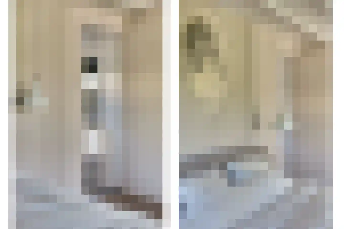 Boogerdlaan 13 Kortgene thumbnail 18
