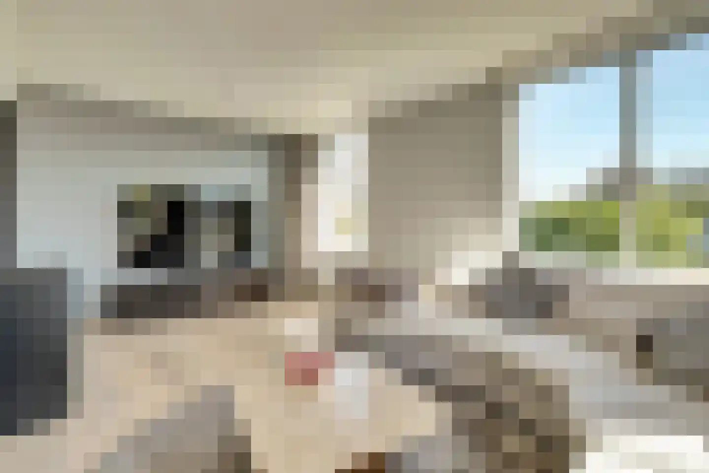Boogerdlaan 13 R Kortgene thumbnail 11