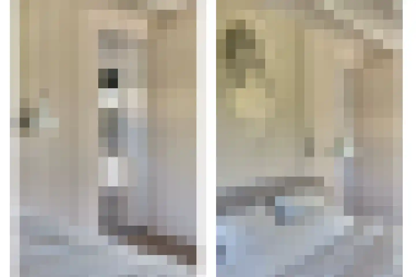 Boogerdlaan 13 R Kortgene thumbnail 19