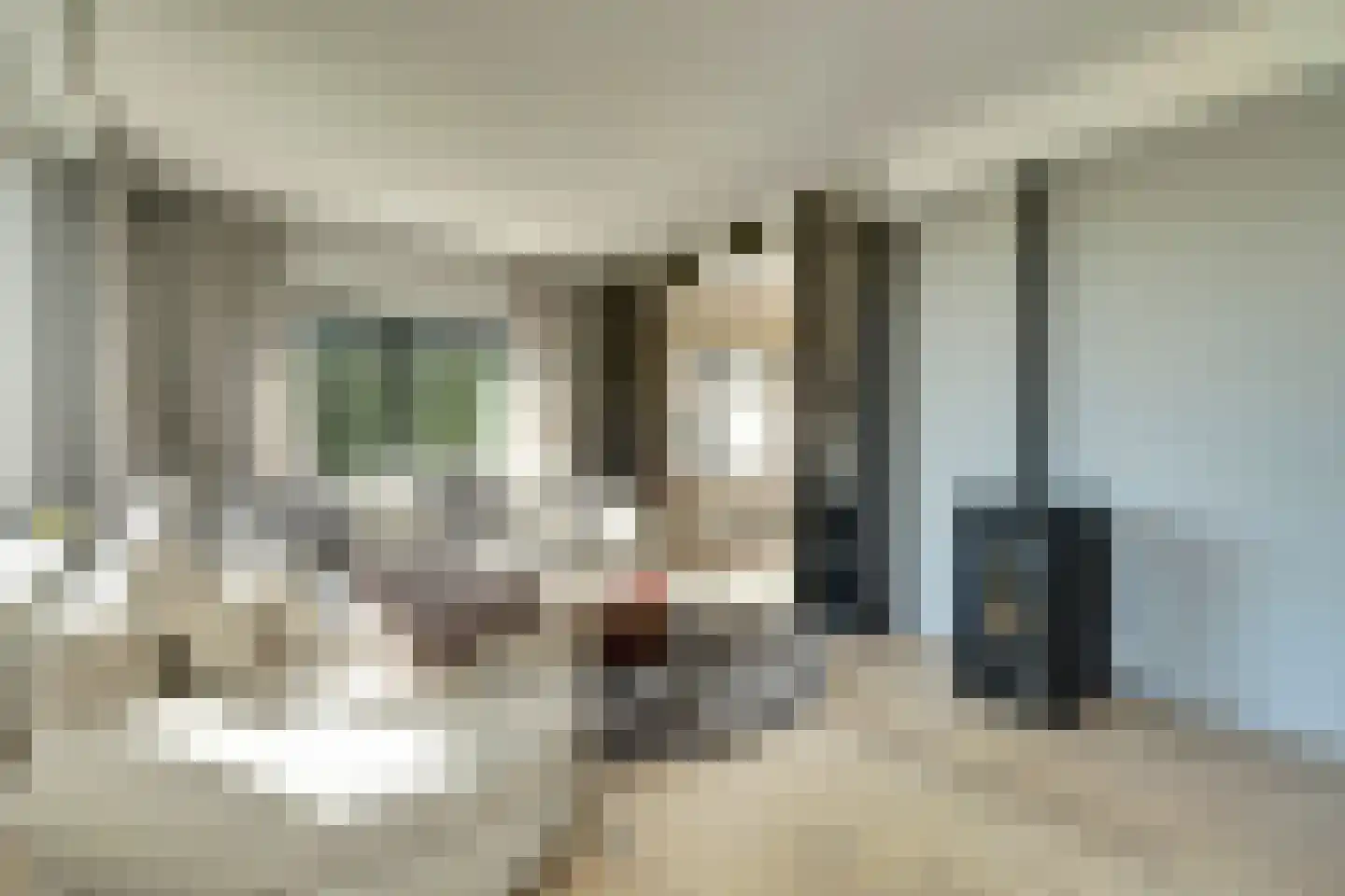 Boogerdlaan 13 R Kortgene foto 2