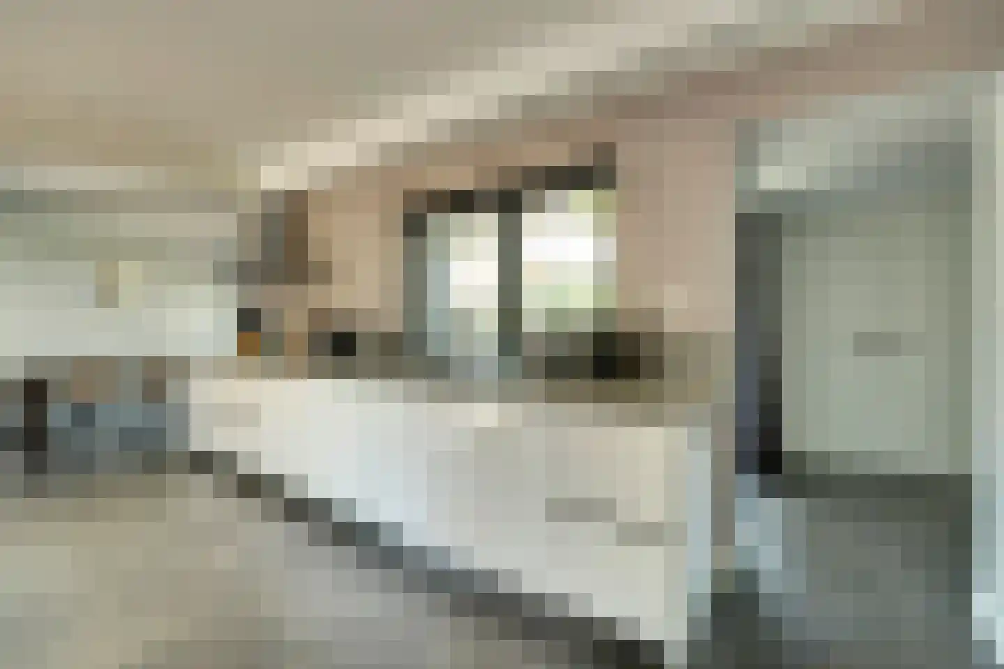 Boogerdlaan 13 R Kortgene foto 3