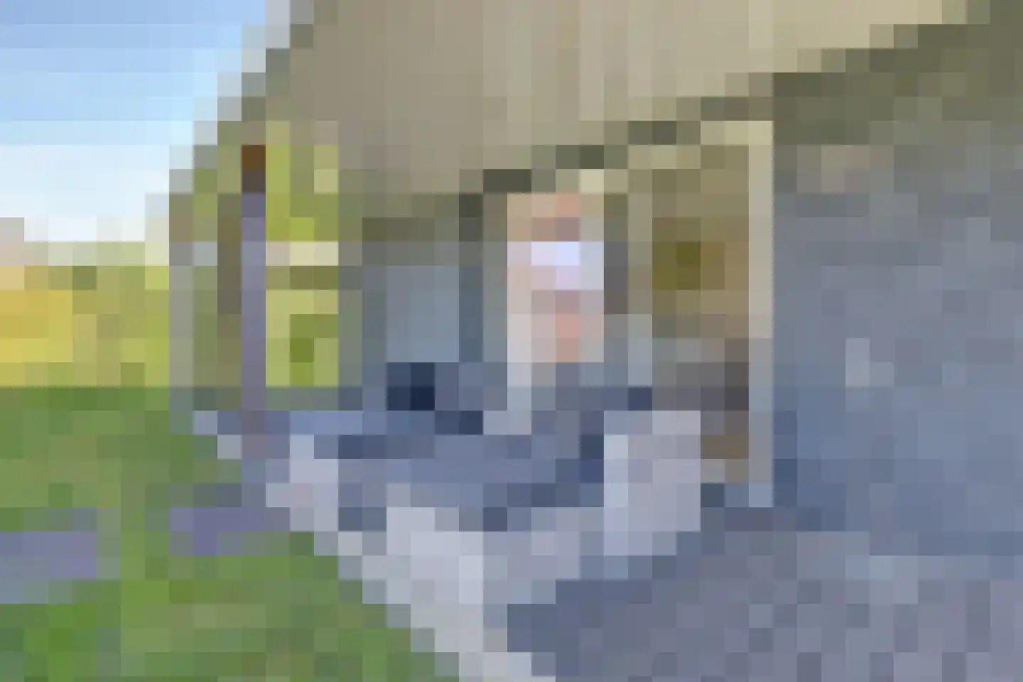 Boogerdlaan 13 R Kortgene thumbnail 32