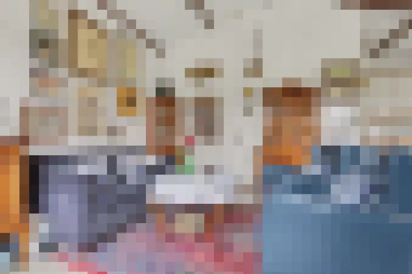 Boogerdlaan 24 Kortgene thumbnail 12