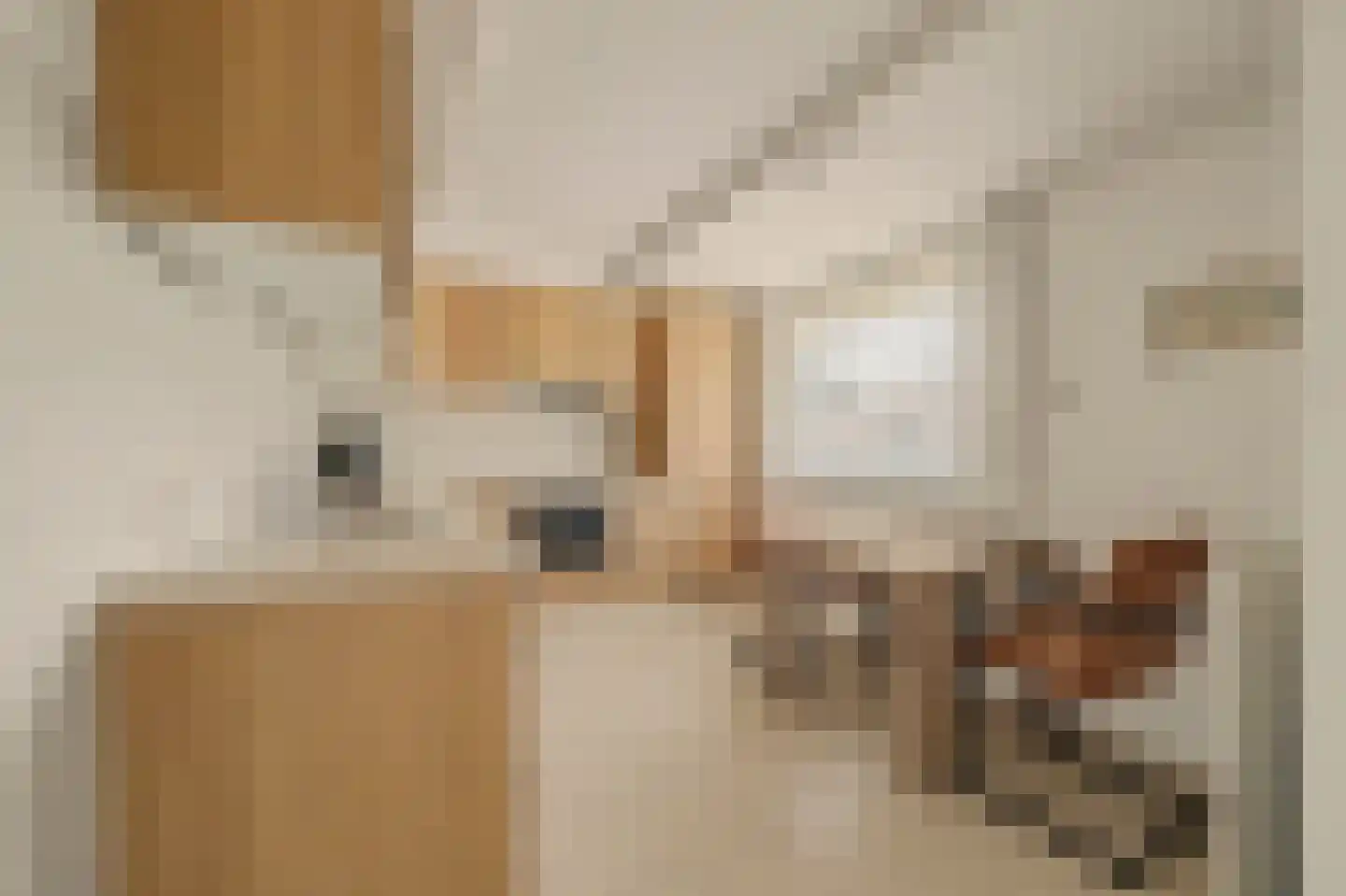 Boogerdlaan 24 Kortgene thumbnail 16