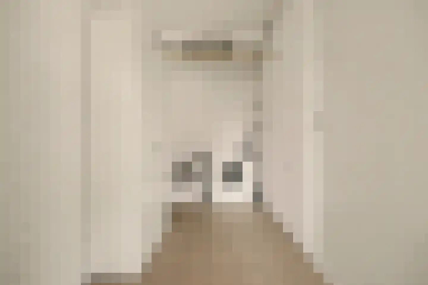 Boogerdlaan 24 Kortgene thumbnail 18