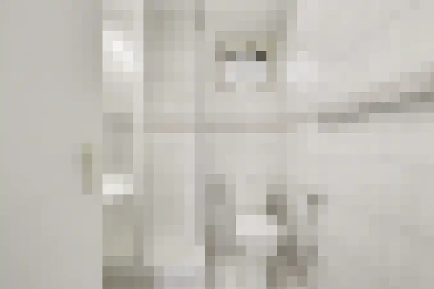 Boogerdlaan 24 Kortgene thumbnail 20