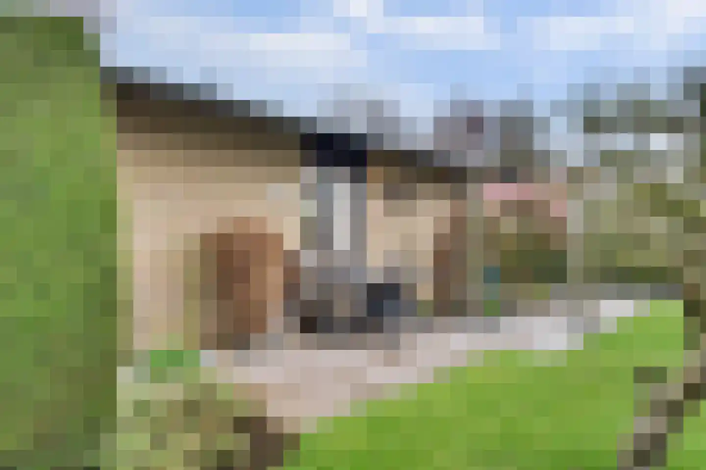 Boogerdlaan 24 Kortgene thumbnail 26