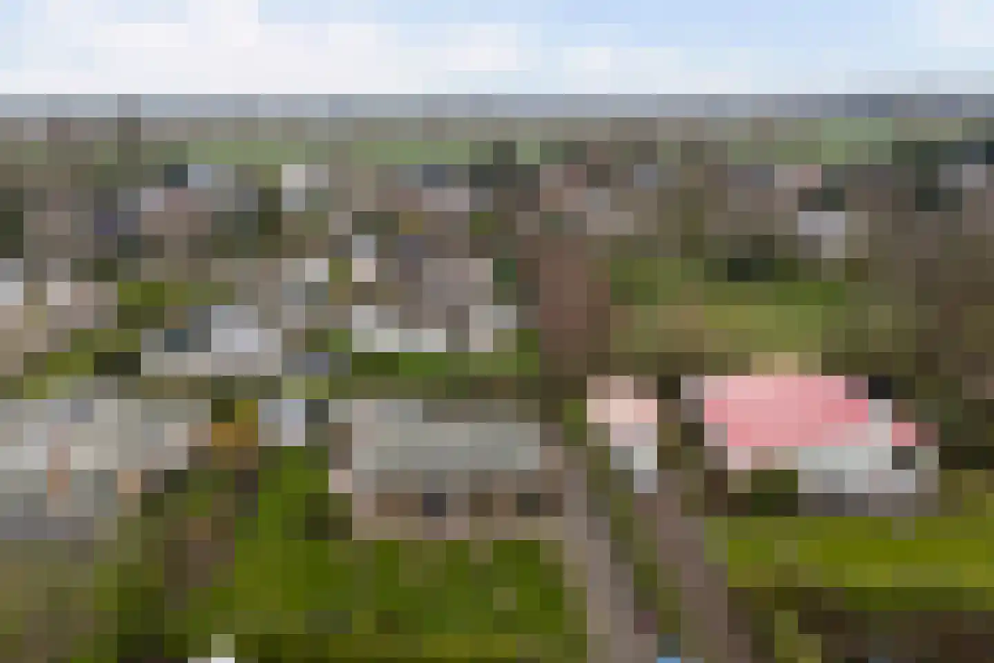 Boogerdlaan 24 Kortgene thumbnail 28