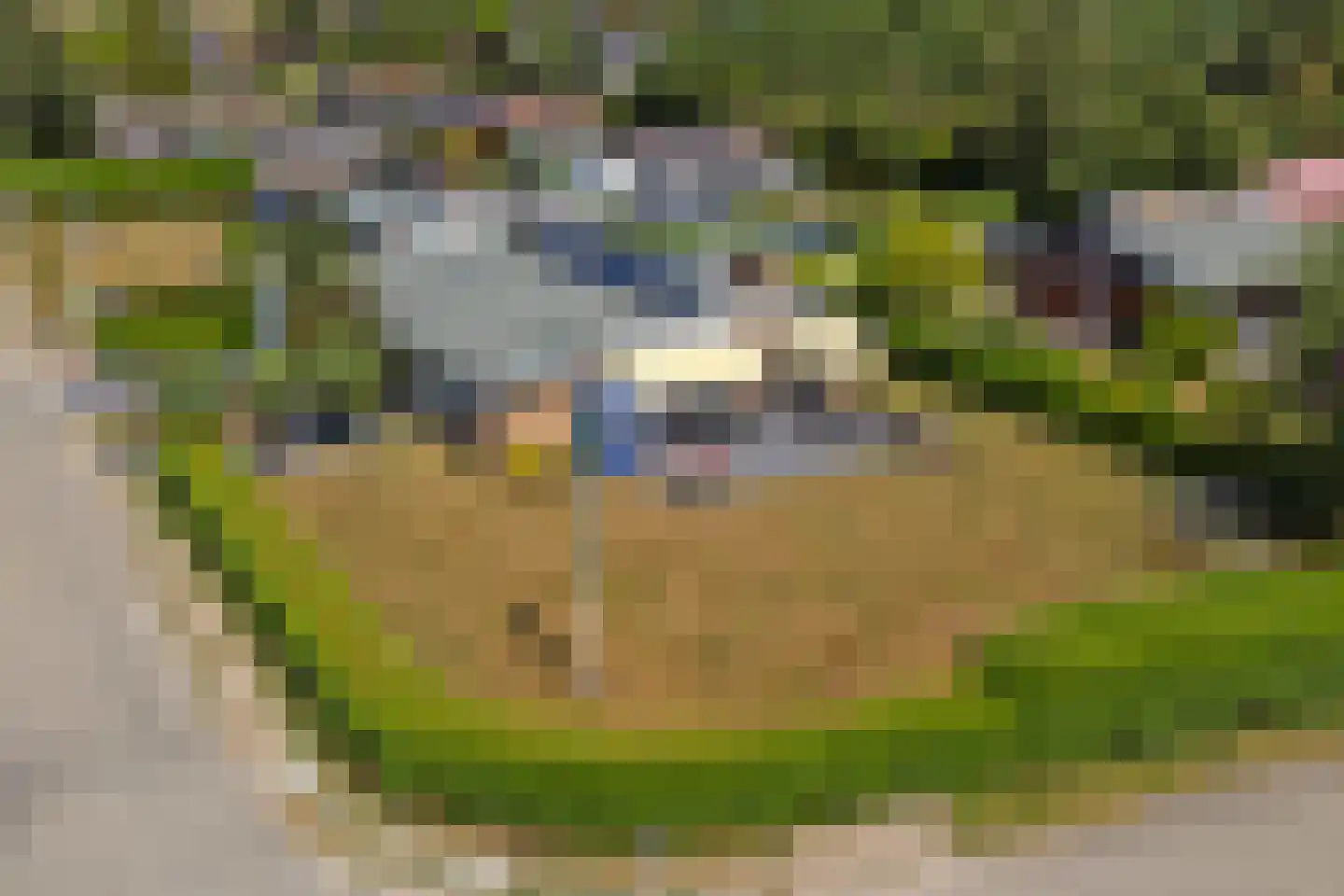 Boogerdlaan 24 Kortgene thumbnail 30
