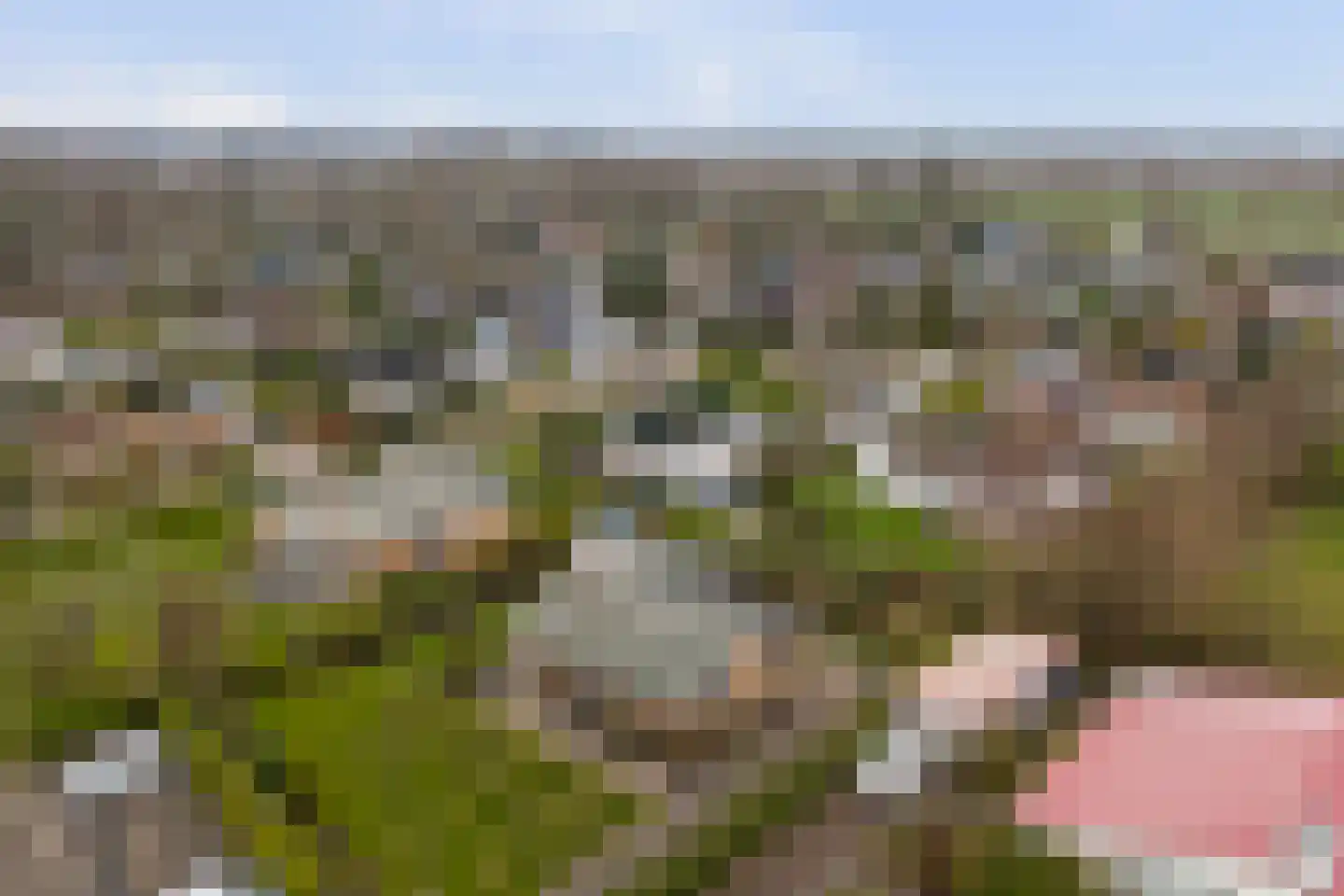 Boogerdlaan 24 Kortgene thumbnail 30