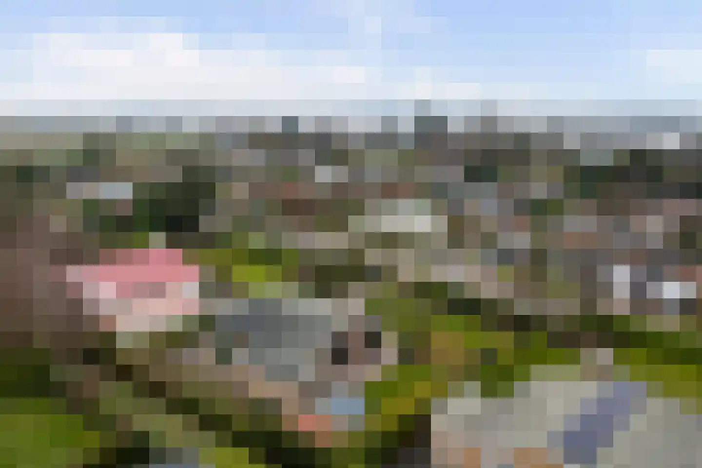 Boogerdlaan 24 Kortgene thumbnail 31