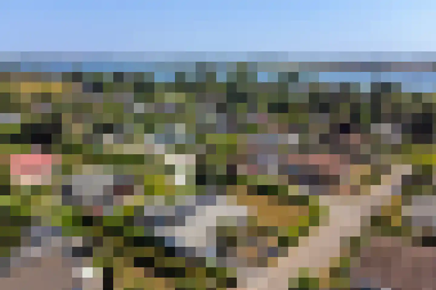 Boogerdlaan 24 Kortgene thumbnail 4