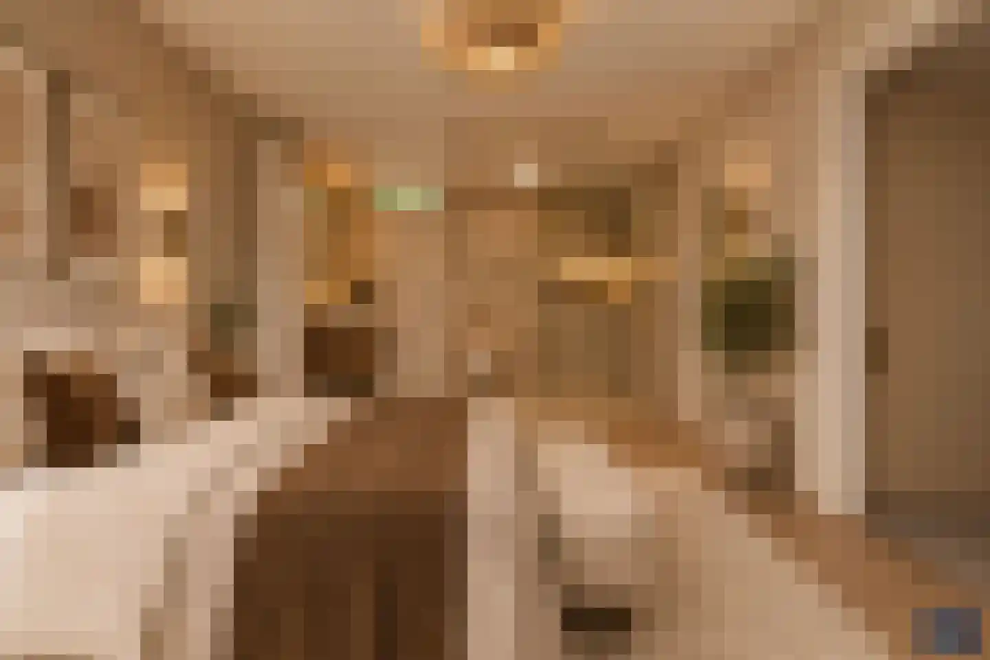 Boogerdlaan 27 Kortgene thumbnail 22